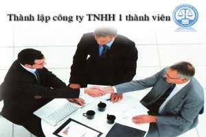 Dịch vụ tư vấn thành lập công ty TNHH 1 thành viên